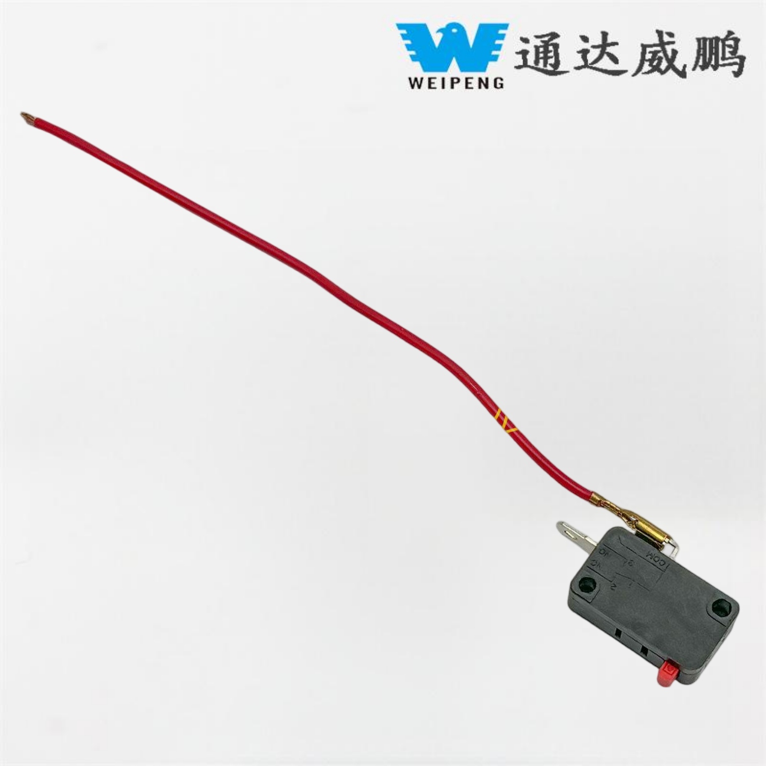 Biltvättmaskin med trådbunden mikrobrytare